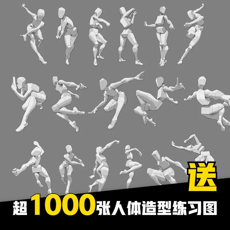 Animation Human Body Structure  Expression Techniques Special Training Book Anime and Manga Human Body Drawing Tutorial Book