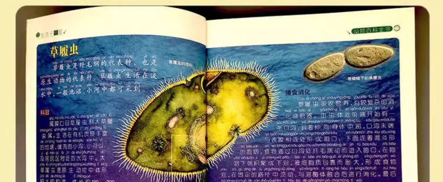 Animal Encyclopedia, Insect and Fish Children's Complete Extracurricular Books for Elementary School Students