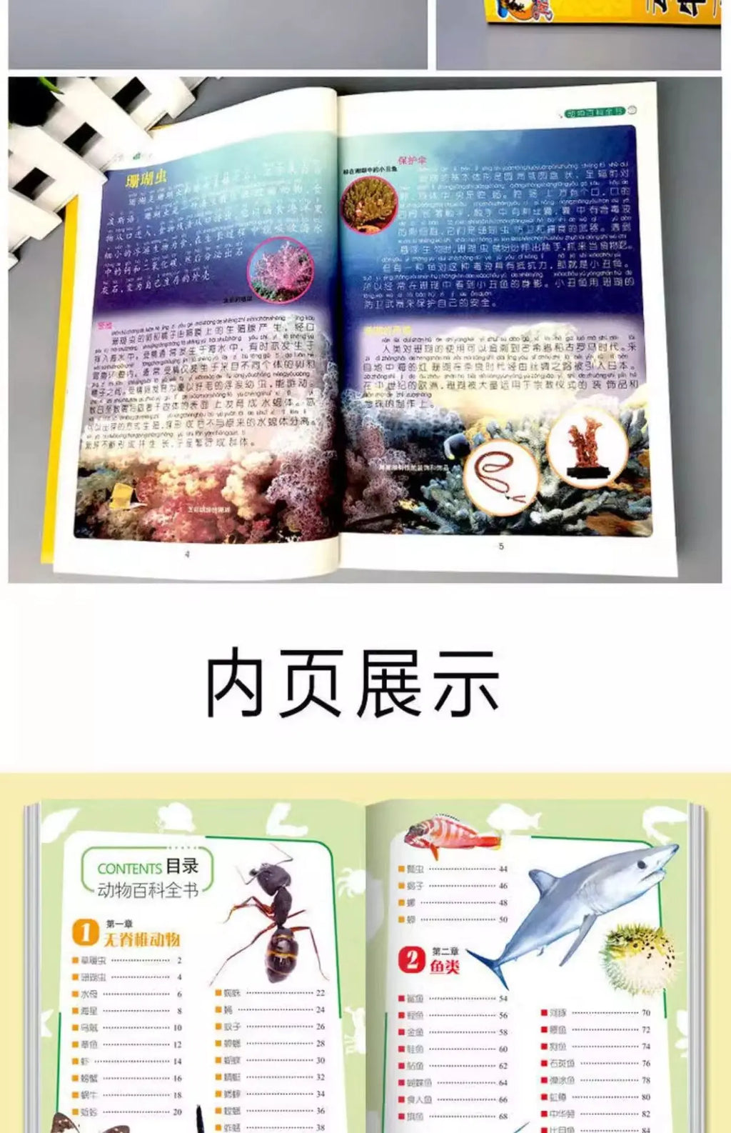 Animal Encyclopedia, Insect and Fish Children's Complete Extracurricular Books for Elementary School Students