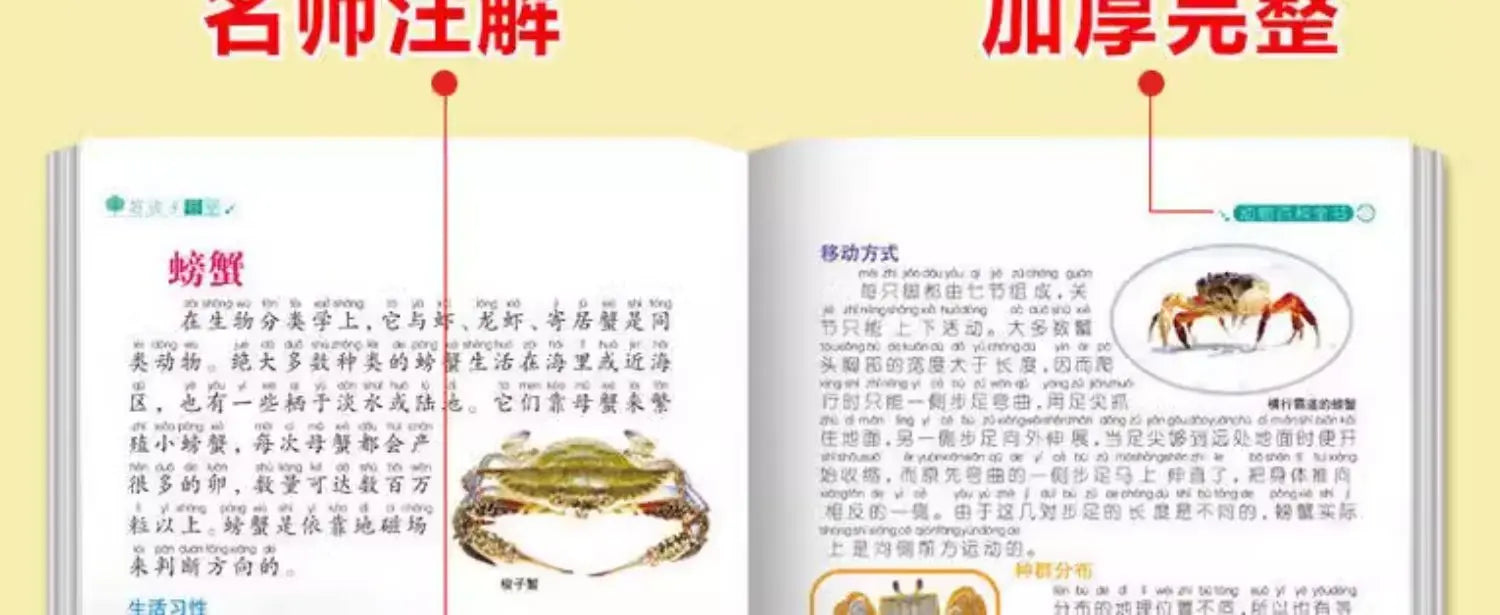 Animal Encyclopedia, Insect and Fish Children's Complete Extracurricular Books for Elementary School Students