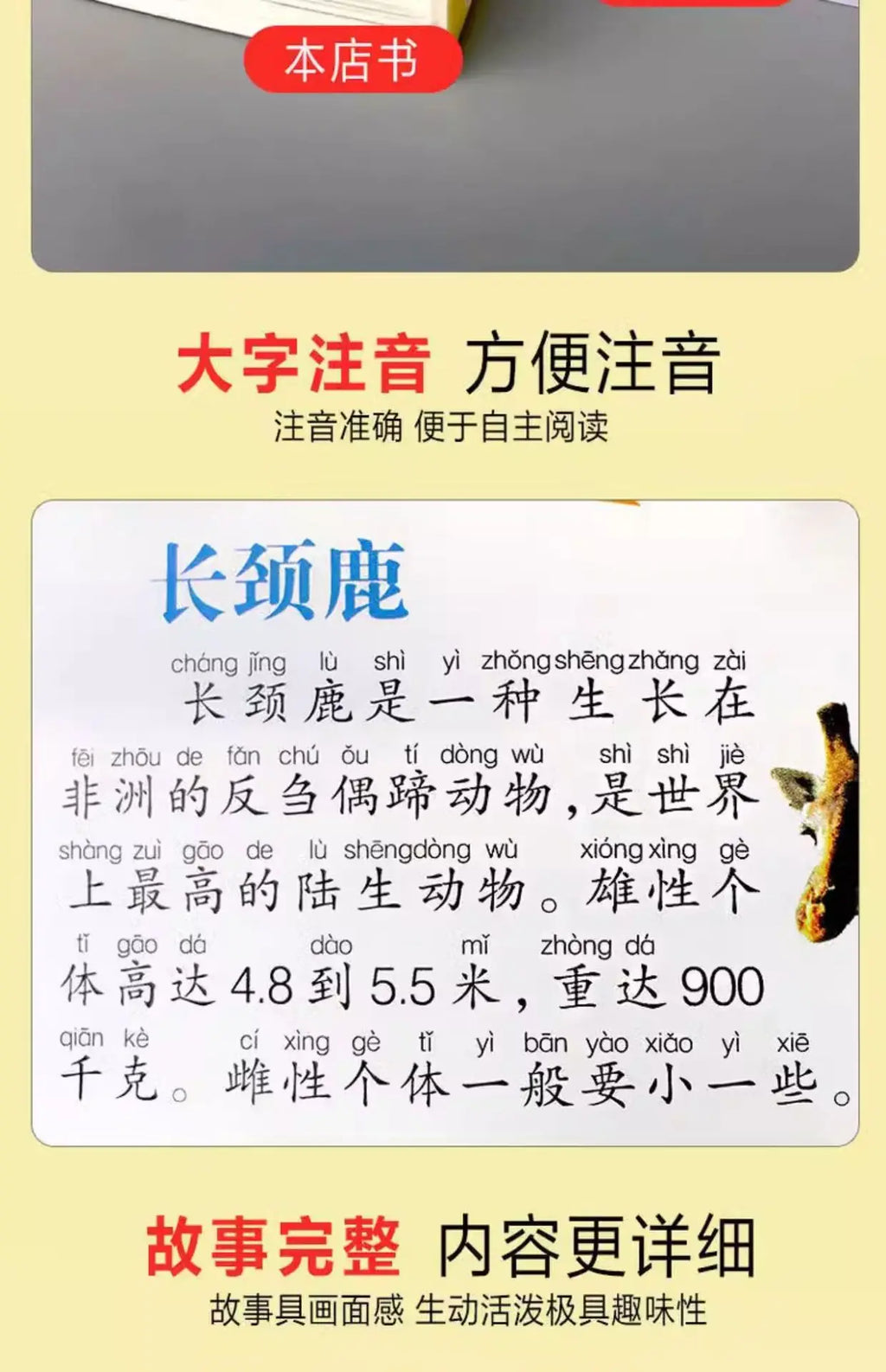 Animal Encyclopedia, Insect and Fish Children's Complete Extracurricular Books for Elementary School Students