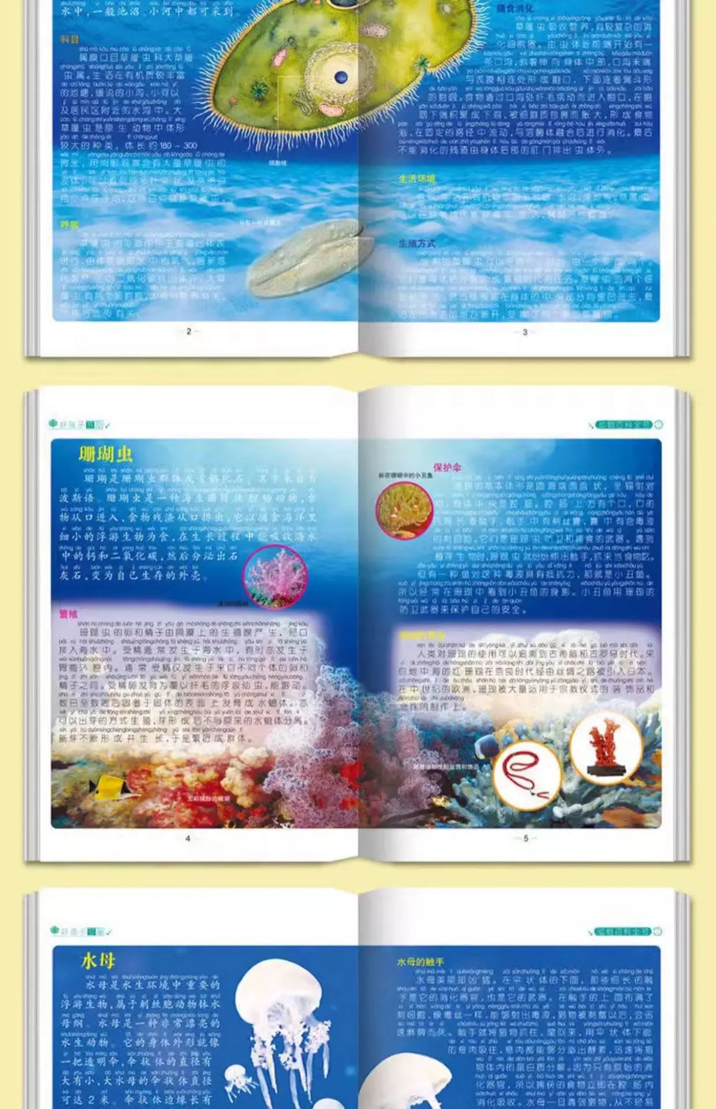 Animal Encyclopedia, Insect and Fish Children's Complete Extracurricular Books for Elementary School Students