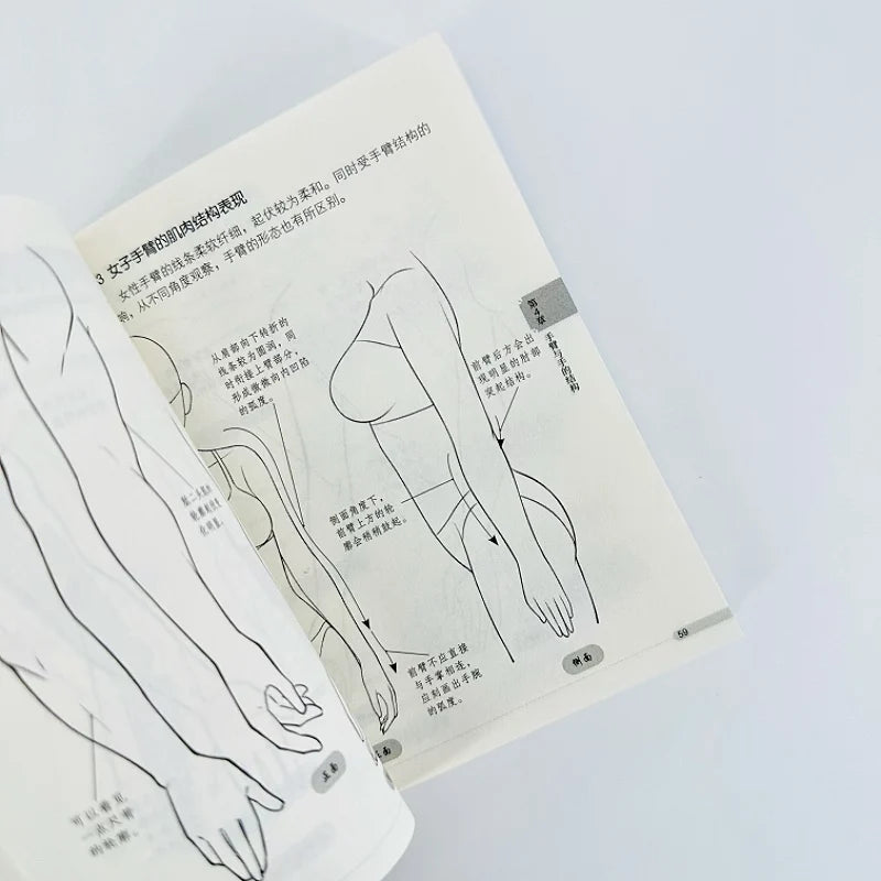 Beginner-Friendly Manga Tutorial Pocket Book: Step-by-Step Guide to Human Body Structure for Anime Drawing Techniques