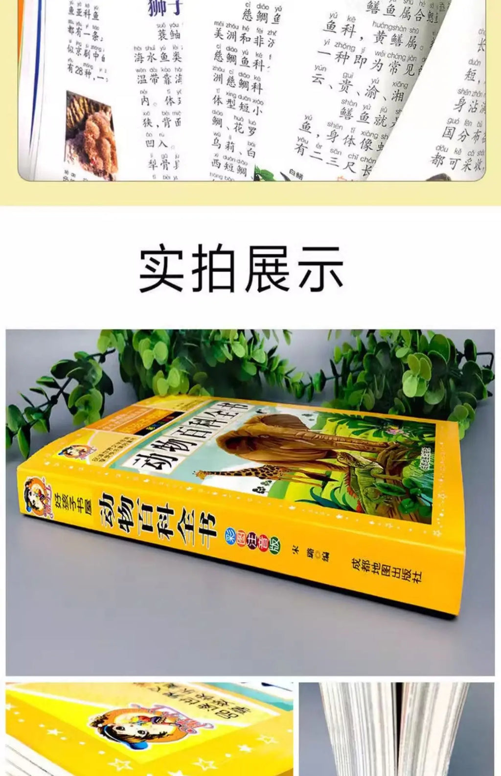 Animal Encyclopedia, Insect and Fish Children's Complete Extracurricular Books for Elementary School Students